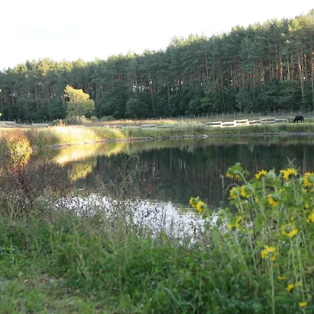 Quatro Osrodek Jezdziecki - Séjour à la ferme *