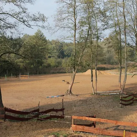 Quatro Osrodek Jezdziecki - *