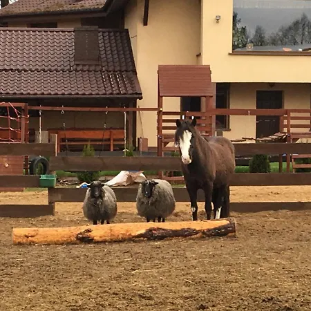 Quatro Osrodek Jezdziecki -