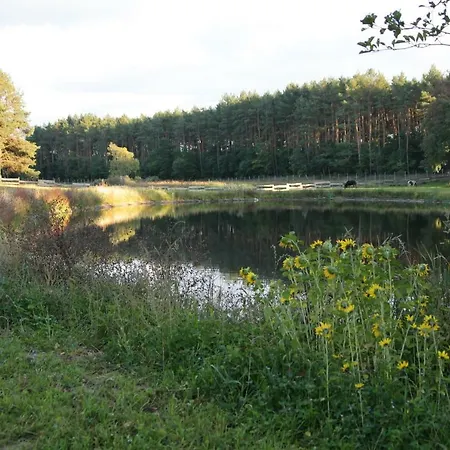 Фермерский дом Quatro Osrodek Jezdziecki - *