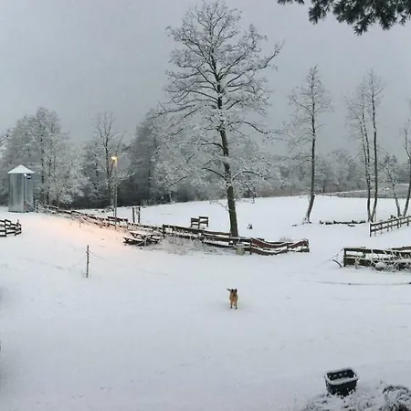 Quatro Osrodek Jezdziecki -