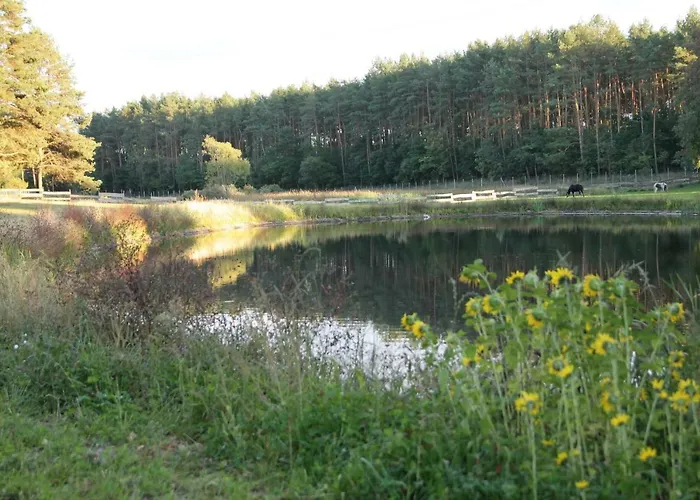 Quatro Osrodek Jezdziecki - Farm stay *