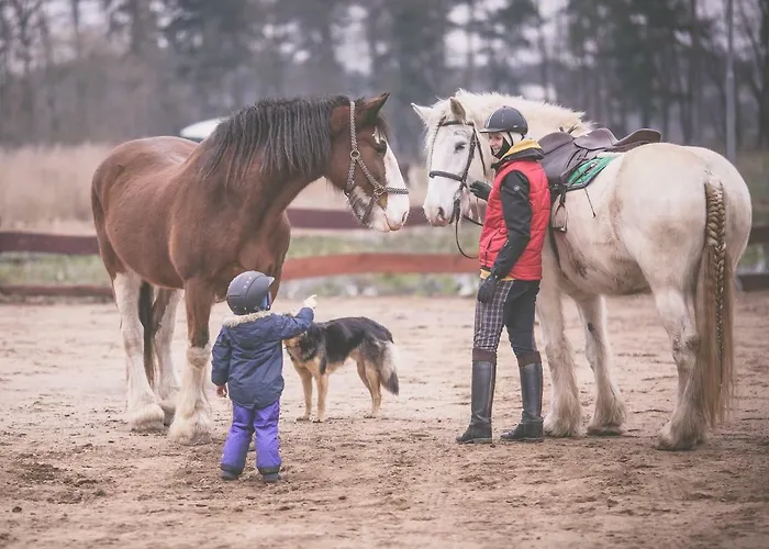 Quatro Osrodek Jezdziecki - Farm stay