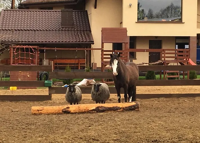 Quatro Osrodek Jezdziecki -