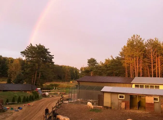 Quatro Osrodek Jezdziecki - Farm stay