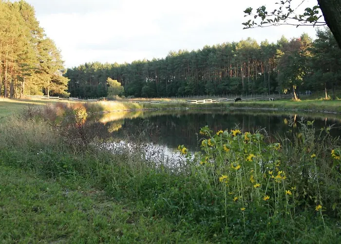 Farm stay Quatro Osrodek Jezdziecki - *