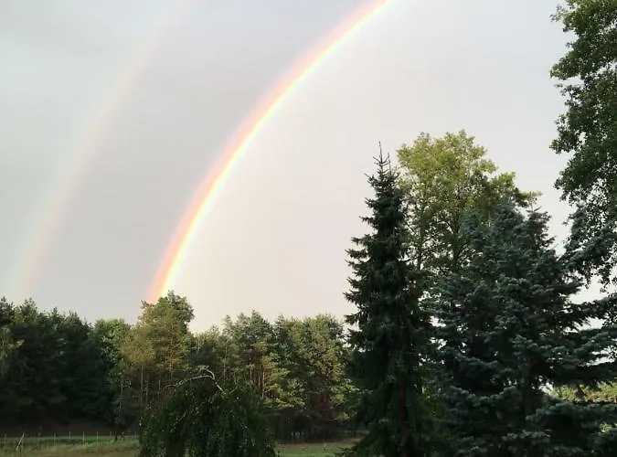 Quatro Osrodek Jezdziecki - Farm stay Pobiedziska