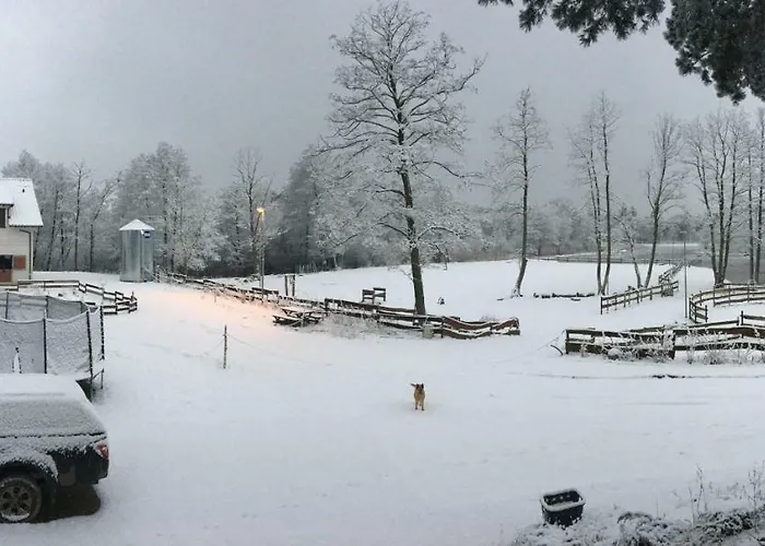 Quatro Osrodek Jezdziecki -